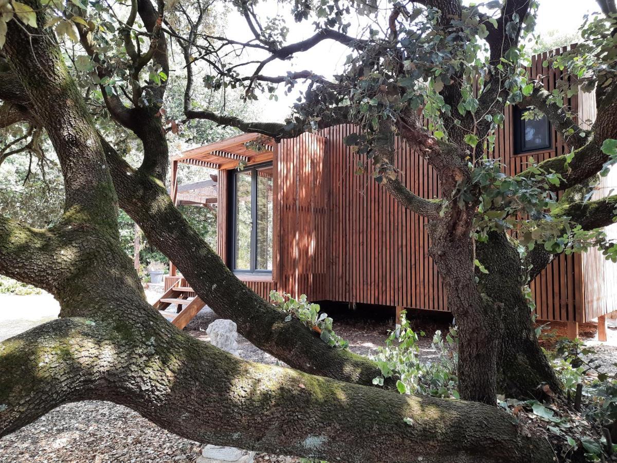 Le Lodge Des Chenes Brousses-et-Villaret Kültér fotó