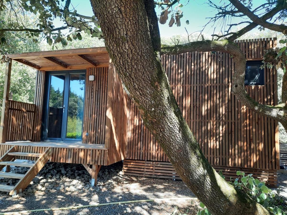 Le Lodge Des Chenes Brousses-et-Villaret Kültér fotó