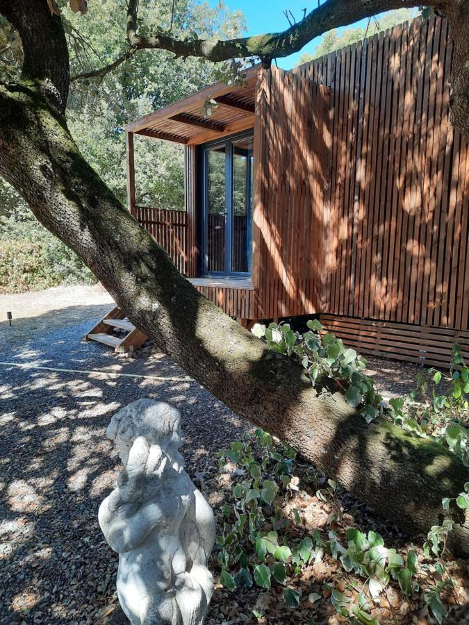Le Lodge Des Chenes Brousses-et-Villaret Kültér fotó