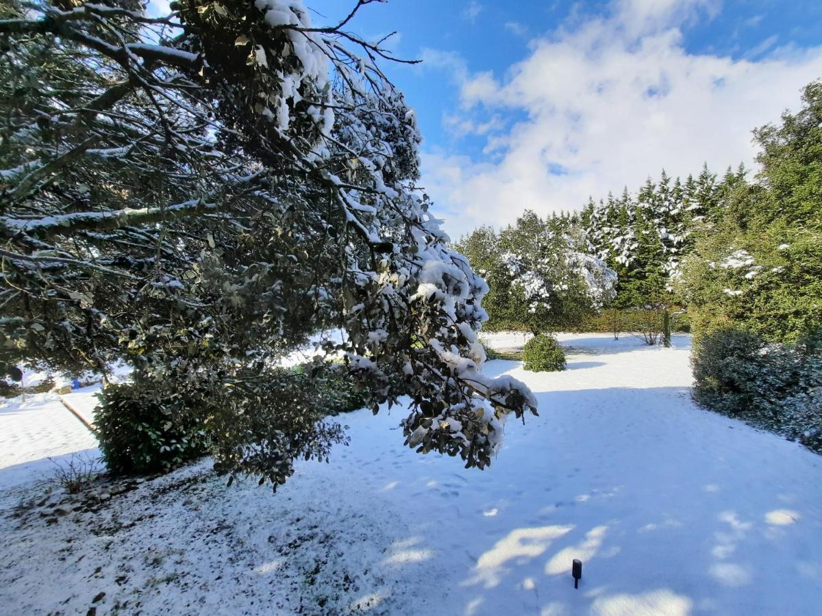 Le Lodge Des Chenes Brousses-et-Villaret Kültér fotó