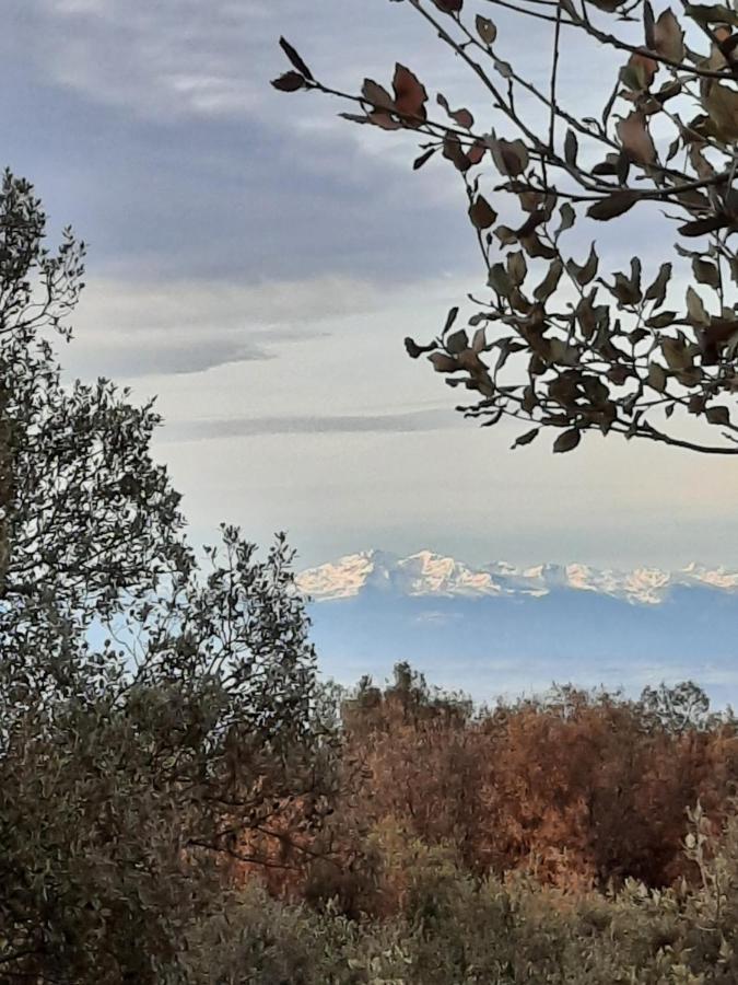 Le Lodge Des Chenes Brousses-et-Villaret Kültér fotó